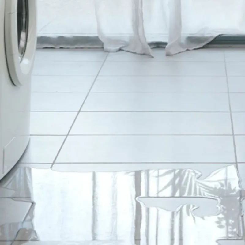 Appliance Leak Cleanup in Glencoe, AL