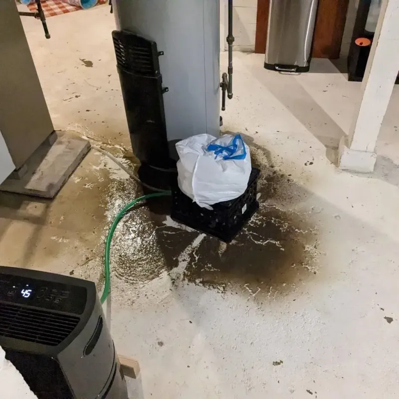 Sewage Backup Cleanup Service in Glencoe, AL